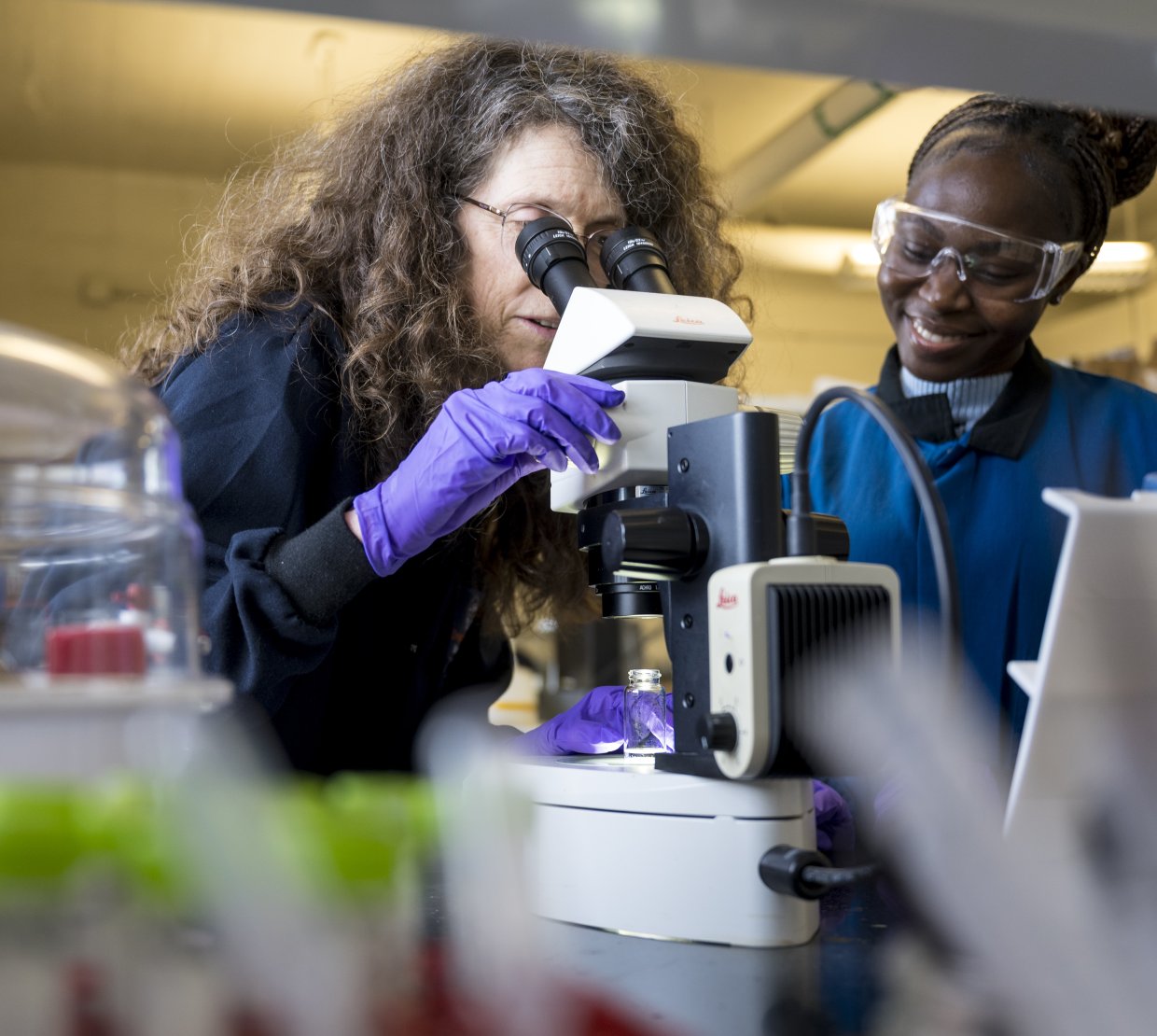 Person looking though a microscope and someone looking over their shoulder