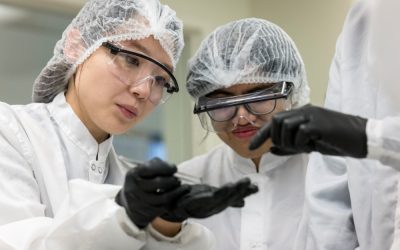 Nature publication: Extreme-band-gap semiconductors with shallow dopants and mobile carriers